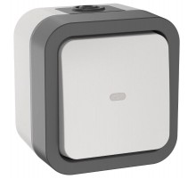 TORS Переключатель однокл. с ин. 10А IP55 TS202 белый  TS-V10-1-10-55-K41  IEK