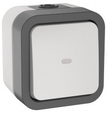 TORS Переключатель однокл. с ин. 10А IP55 TS202 белый  TS-V10-1-10-55-K41  IEK