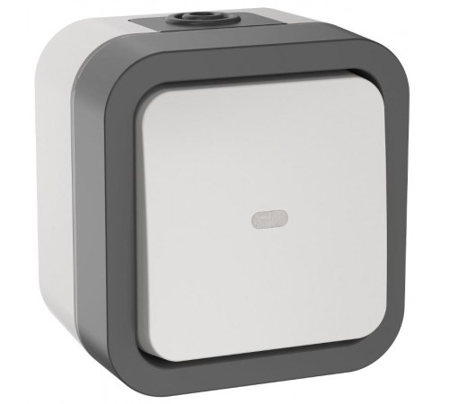 TORS Переключатель однокл. с ин. 10А IP55 TS202 белый  TS-V10-1-10-55-K41  IEK