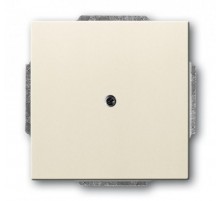 ABB Basic 55 Сл. кость Заглушка с суппортом  1715-0-0313   2CKA001715A0313  ABB