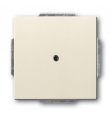 ABB Basic 55 Сл. кость Заглушка с суппортом  1715-0-0313   2CKA001715A0313  ABB