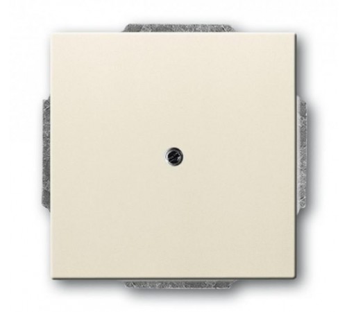 ABB Basic 55 Сл. кость Заглушка с суппортом  1715-0-0313   2CKA001715A0313  ABB