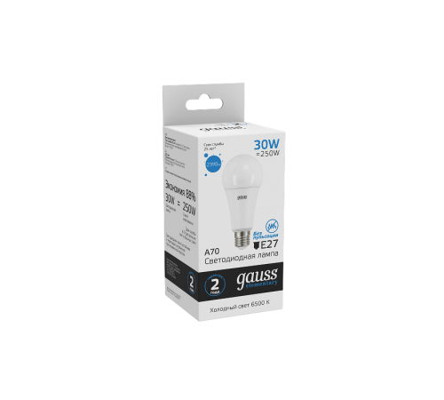 Лампа светодиодная LED Elementary A67 30W E27 2390lm 6500K  73239  Gauss