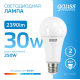 Лампа светодиодная LED Elementary A67 30W E27 2390lm 6500K  73239  Gauss