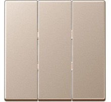 Тройная клавиша для балансирных механизмов выключателей (кнопок); термопласт; шампань; A500  A593BFCH  Jung