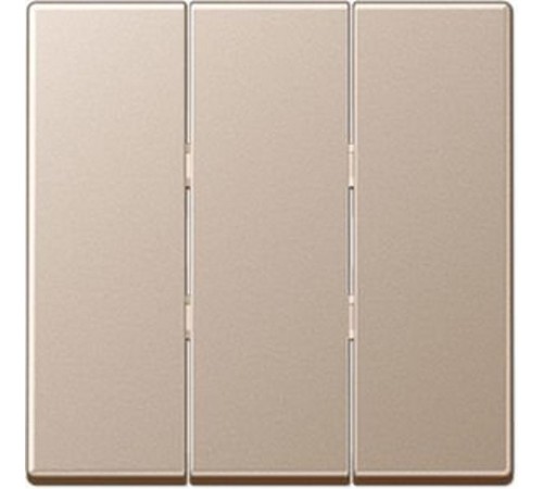 Тройная клавиша для балансирных механизмов выключателей (кнопок); термопласт; шампань; A500  A593BFCH  Jung