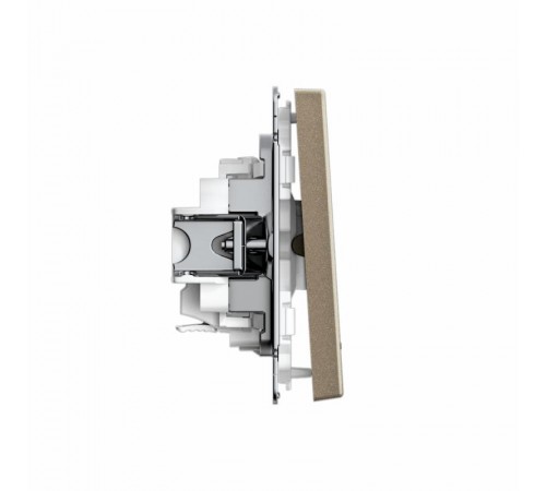 ArtGallery Шампань Выключатель 1-клавишный с подсветкой, 10АХ, механизм, быстрозажим. клем.  GAL000513S  SE