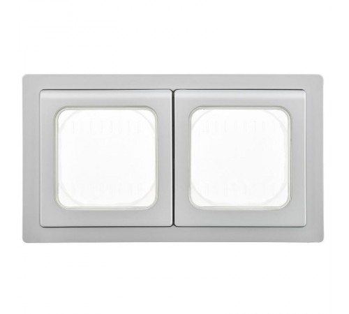 FLITE Рамка 2-местная IP55 Рпро-2-55-ФлА алюминий  FI-M20-32-55-K47  IEK