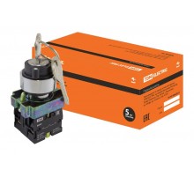 Переключатель BG45 черный 2 положения с ключом 1з+1р   SQ0703-0009  TDM