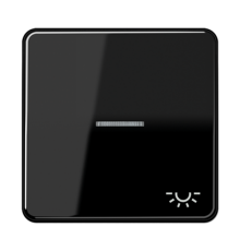 Клавиша с окошком и символом "освещение" для выключателей с подсветкой CD590KO5LSW Jung