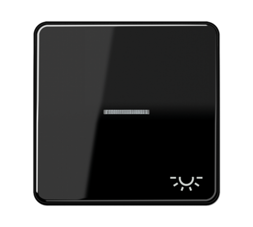 Клавиша с окошком и символом "освещение" для выключателей с подсветкой CD590KO5LSW Jung