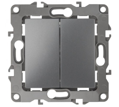 Выключатель двойной 12-1004-12   10АХ-250В, без м.лапок,  графит  Б0019311  ЭРА
