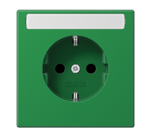 SCHUKO розетка с полем для надписи 9x58 мм  LS1520BFKINAGN  Jung