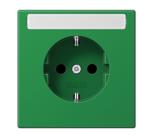 SCHUKO розетка с полем для надписи 9x58 мм  LS1520BFKINAGN  Jung