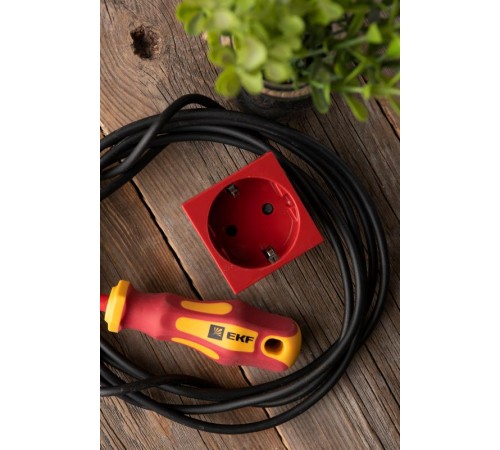 Розетка 45х45 (2 модуля), с заземлением, красная, прямая  E2MR16-028-70  EKF