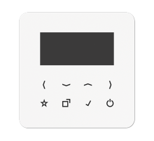 Дисплей DABCD-DISPWW Jung