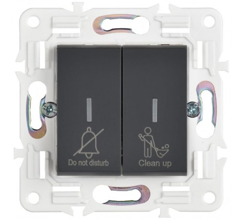 SKANDY Выключатель 2-клавишный с индикацией для отелей 10А SK-V16G графит   SK-V20-2-10-K53  IEK