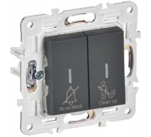 SKANDY Выключатель 2-клавишный с индикацией для отелей 10А SK-V16G графит   SK-V20-2-10-K53  IEK