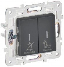 SKANDY Выключатель 2-клавишный с индикацией для отелей 10А SK-V16G графит   SK-V20-2-10-K53  IEK