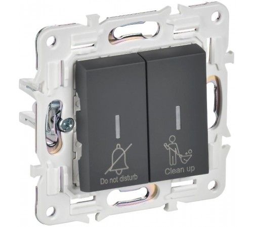 SKANDY Выключатель 2-клавишный с индикацией для отелей 10А SK-V16G графит   SK-V20-2-10-K53  IEK