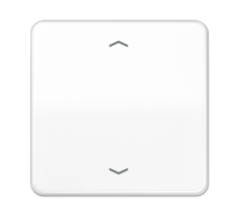 Центральная плата для вставок управления двигателями CD1700PWW Jung