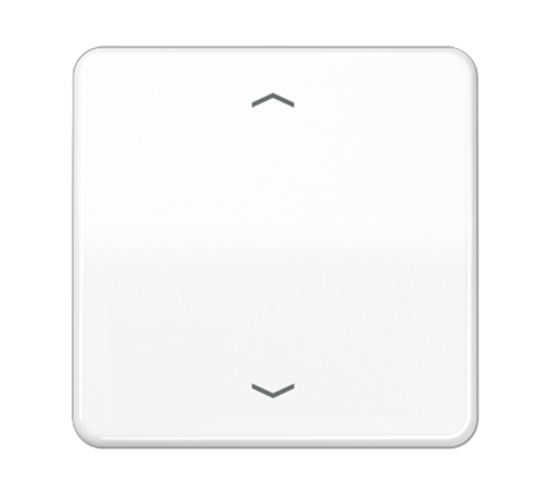 Центральная плата для вставок управления двигателями CD1700PWW Jung