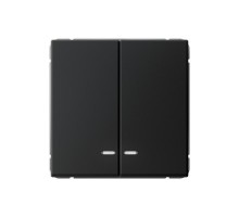 ArtGallery Карбон Выключатель 2-клавишный с подсветкой, сх.5а, 10АХ, механизм  GAL001053  SE