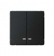 ArtGallery Карбон Выключатель 2-клавишный с подсветкой, сх.5а, 10АХ, механизм  GAL001053  SE