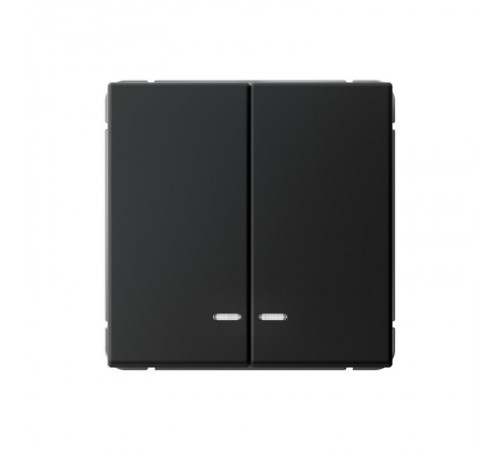 ArtGallery Карбон Выключатель 2-клавишный с подсветкой, сх.5а, 10АХ, механизм  GAL001053  SE