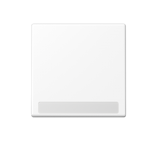 Клавиша с полем для надписи A590BFNAWWM Jung