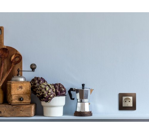 Etika Слоновая кость Розетка с заземлением со шторками, винтовые клеммы  672322  Legrand