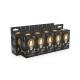 Лампа светодиодная Filament Шар 13W 1100lm 2700К Е27 LED 1/10/50  105802113  Gauss