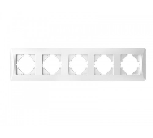 Рамка 5 постов (белый) серия BW  201205  SPL