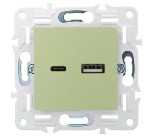 SKANDY Розетка USB A+C 3,1А SK-R14M мятный  SK-U22-D31-K06  IEK