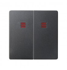 Simon 82 Клавиши (2 шт) для двухклавишного выключателя с подсветкой, S82, S82N, S82 Detail, графит  82025-38  Simon