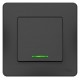 Blanca Антрацит С/У Переключатель 1-клавишный с подсветкой, 10А, 250B  BLNVS010616  SE
