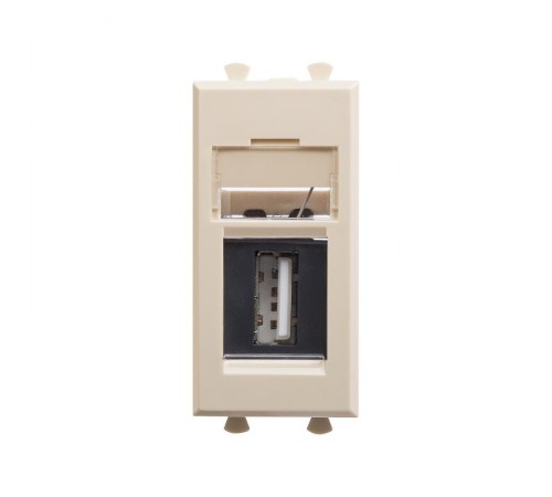 USB 2.0 розетка "Ванильная дымка" Avanti модульная, тип А-А, 1 мод  4405401  DKC