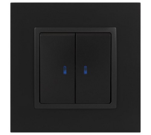 14-1105-05 Выключатель 2-клавишный с подсветкой, 10АХ-250В, IP20, Эра Elegance, антрацит  Б0034241  ЭРА