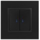 14-1105-05 Выключатель 2-клавишный с подсветкой, 10АХ-250В, IP20, Эра Elegance, антрацит  Б0034241  ЭРА