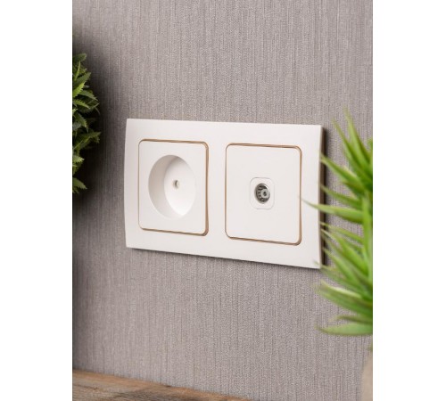 Стокгольм Рамка 2-местная белая с линией цвета шампань PROxima  EYM-G-303-10  EKF