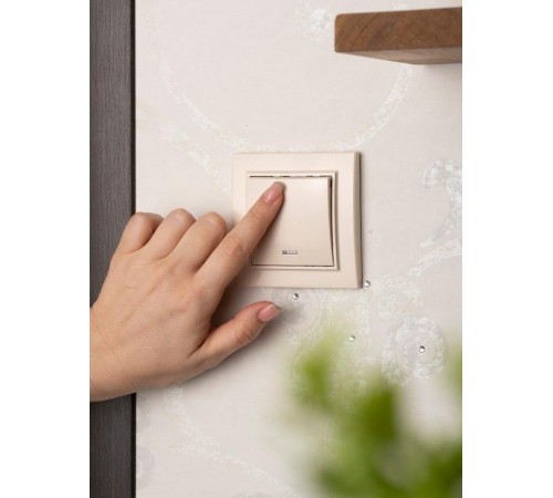 Выключатель 1-кл. СП, Минск, с индикатором 10А, бежевый EKFERV10-121-20EKF