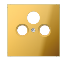 Крышка для SAT-TV-розетки; металл цвета золота  GO2990SAT  Jung