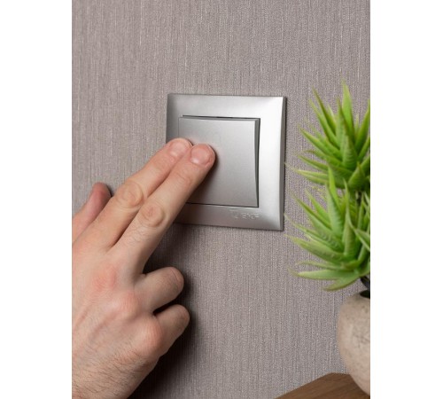 Валенсия лицевая панель кнопки звонка 10А сталь EKF PROxima   ESV10-L-026-30   EKF