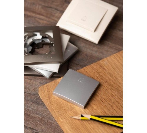 Валенсия лицевая панель кнопки звонка 10А сталь EKF PROxima   ESV10-L-026-30   EKF