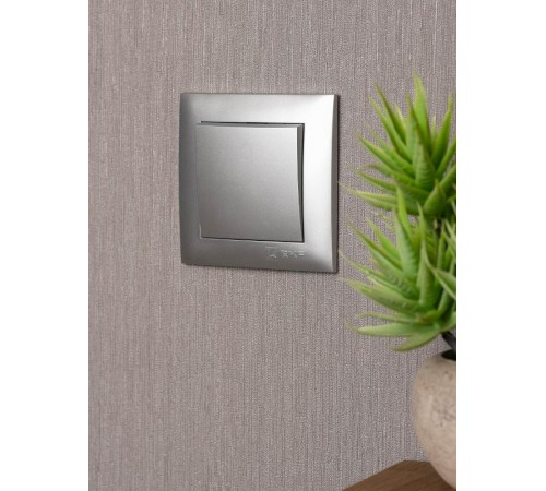 Валенсия лицевая панель кнопки звонка 10А сталь EKF PROxima   ESV10-L-026-30   EKF