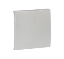 Валенсия лицевая панель выключателя проходного 1-кл. 10А сталь EKF PROxima   ESV10-L-025-30   EKF