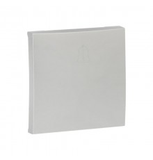 Валенсия лицевая панель выключателя проходного 1-кл. 10А сталь EKF PROxima   ESV10-L-025-30   EKF