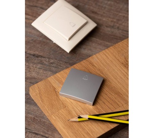 Валенсия лицевая панель кнопки звонка 10А сталь EKF PROxima   ESV10-L-026-30   EKF