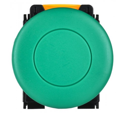 Кнопка "Грибок" с фиксац. d=22мм 1NO+1NC зелёная MASTER  MI-BG60-11M-3-21-K06  IEK