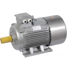 Электродвигатель 3ф.АИР 280S6 660В 75кВт 1000об/мин 1081 (лапы) DRIVE   DRV280-S6-075-0-1010  IEK